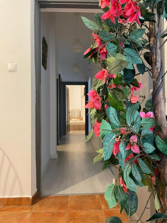 Outstanding 3Br Ultracentral Cityview Balcony Aaa Lejlighed Bukarest Eksteriør billede
